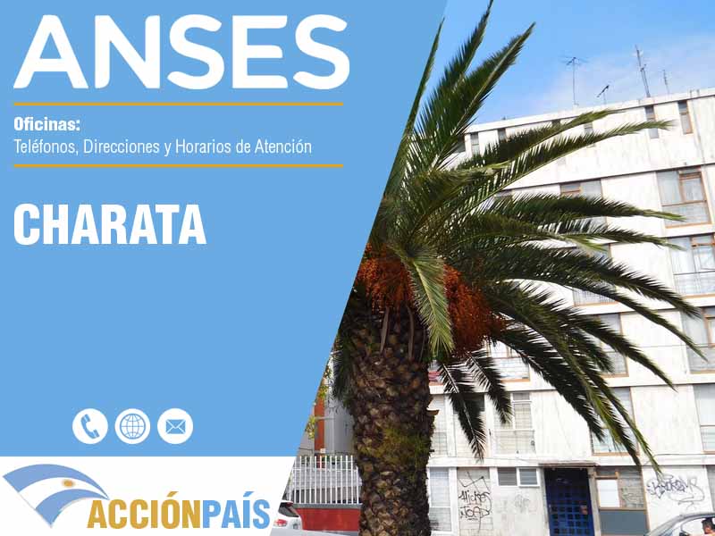 Oficinas Anses en Charata - Telfonos y Horarios