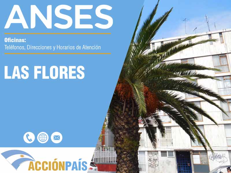 Oficinas Anses en Las Flores - Telfonos y Horarios