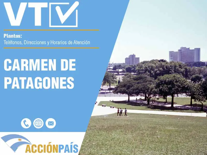 Plantas VTV en Carmen de Patagones - Telfonos y Horarios